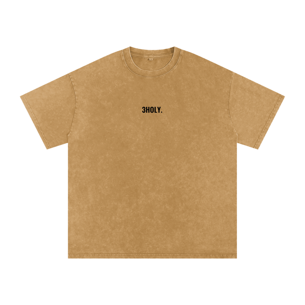 Snow Washed Oversized Cotton T-Shirt - John 19:30